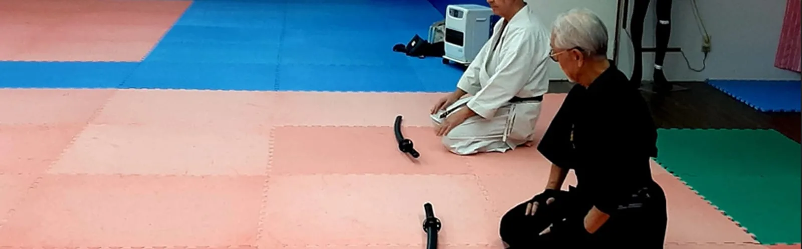 Iaido practice with instructors kneeling in seiza