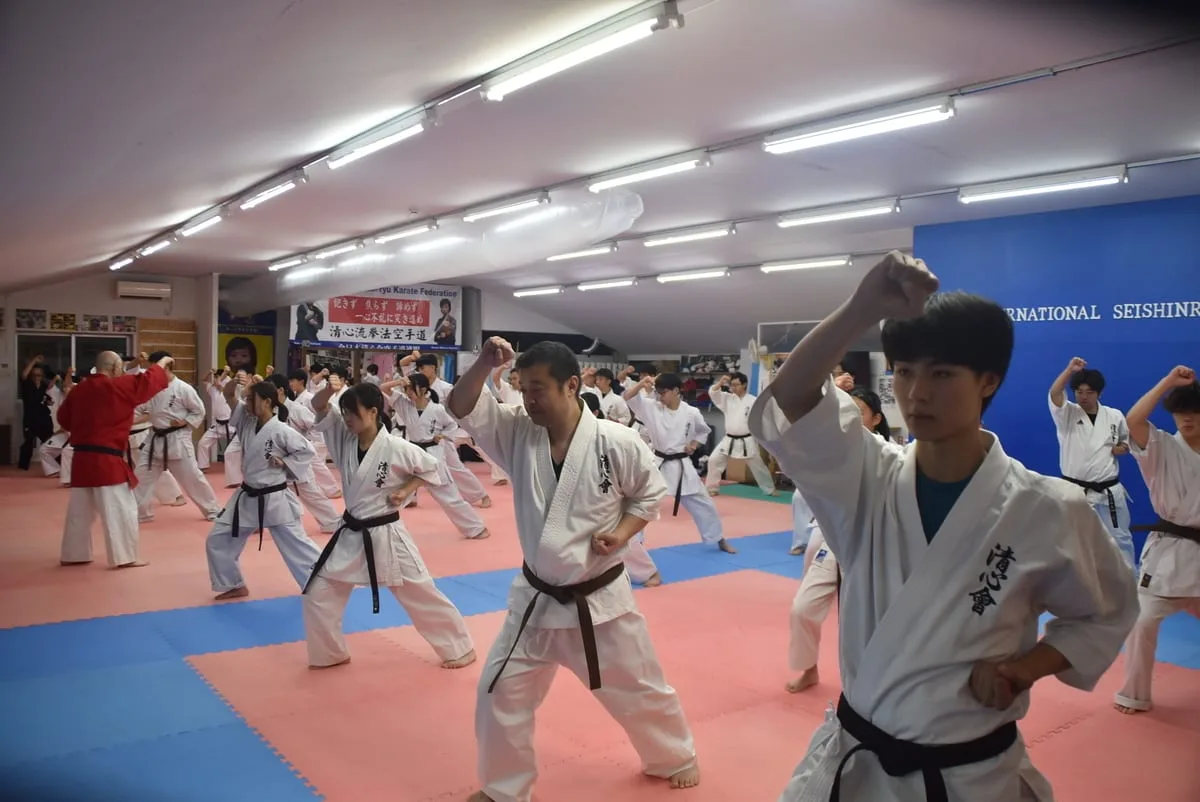 Adult karate class