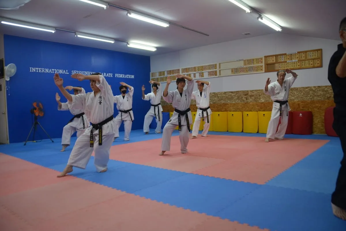 Adult karate training