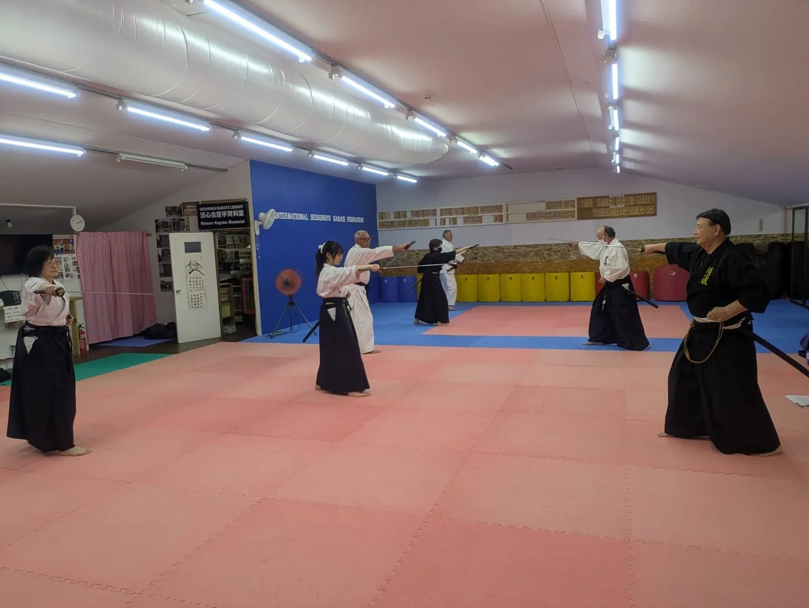 Seishinkai Iaido Division practice session