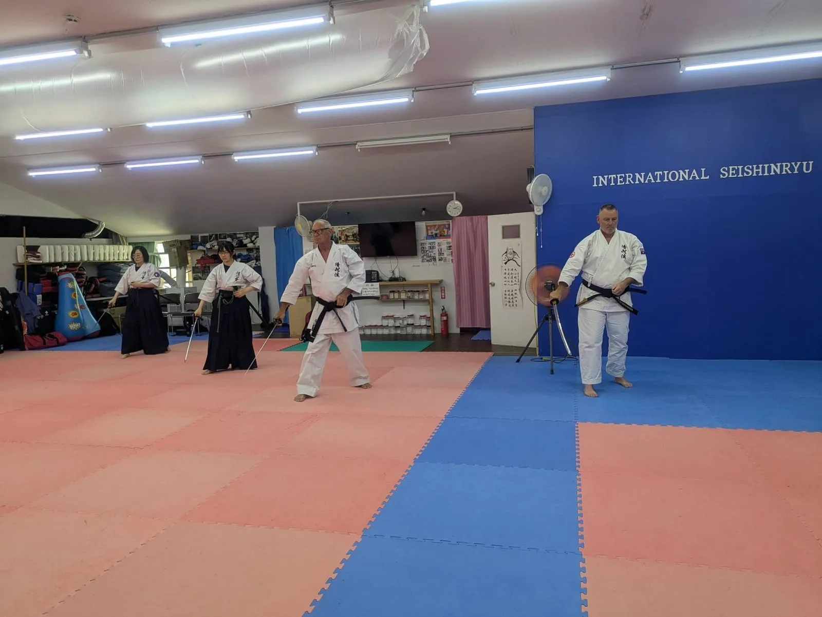 Seishinkai Iaido Division practice session