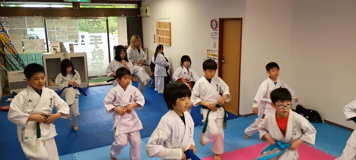 Seishinkai Oasa practice session