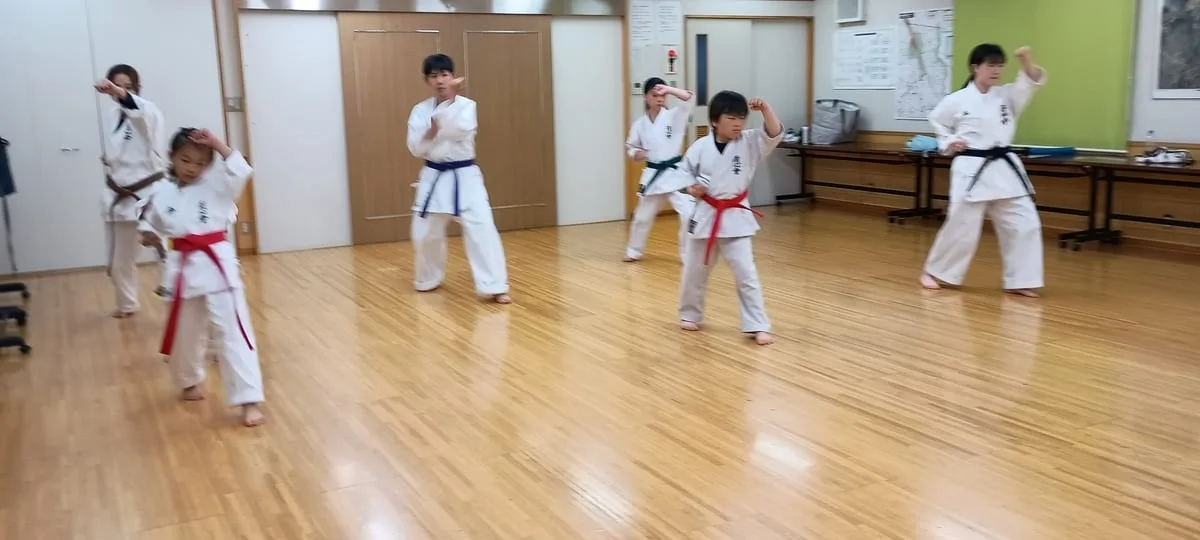 Satozuka Karate Class practice session