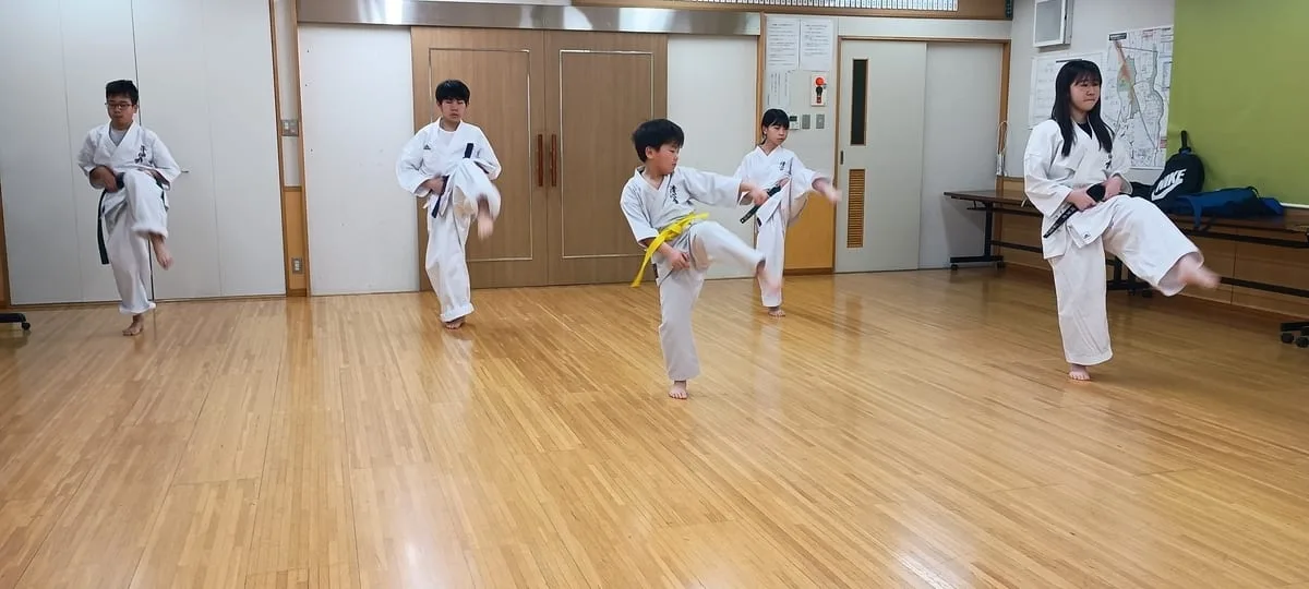 Satozuka Karate Class practice session