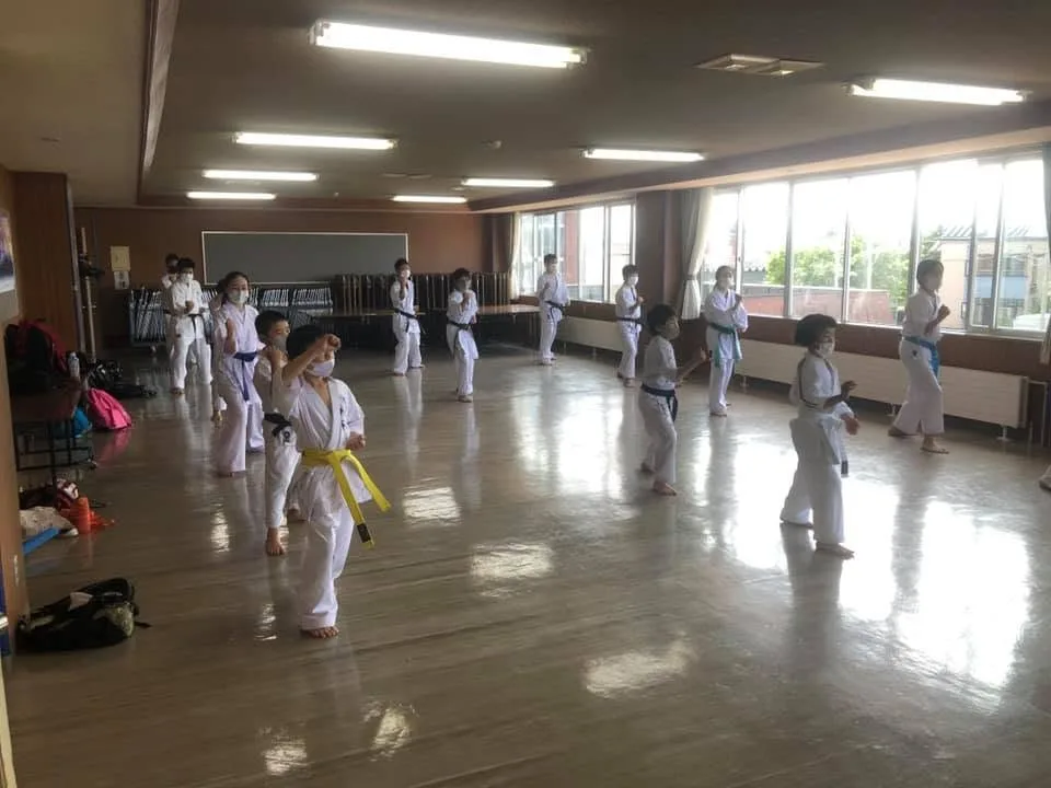 Seishinkai Karate training