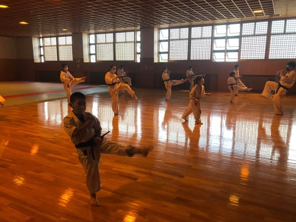 Seishinkai Karate training