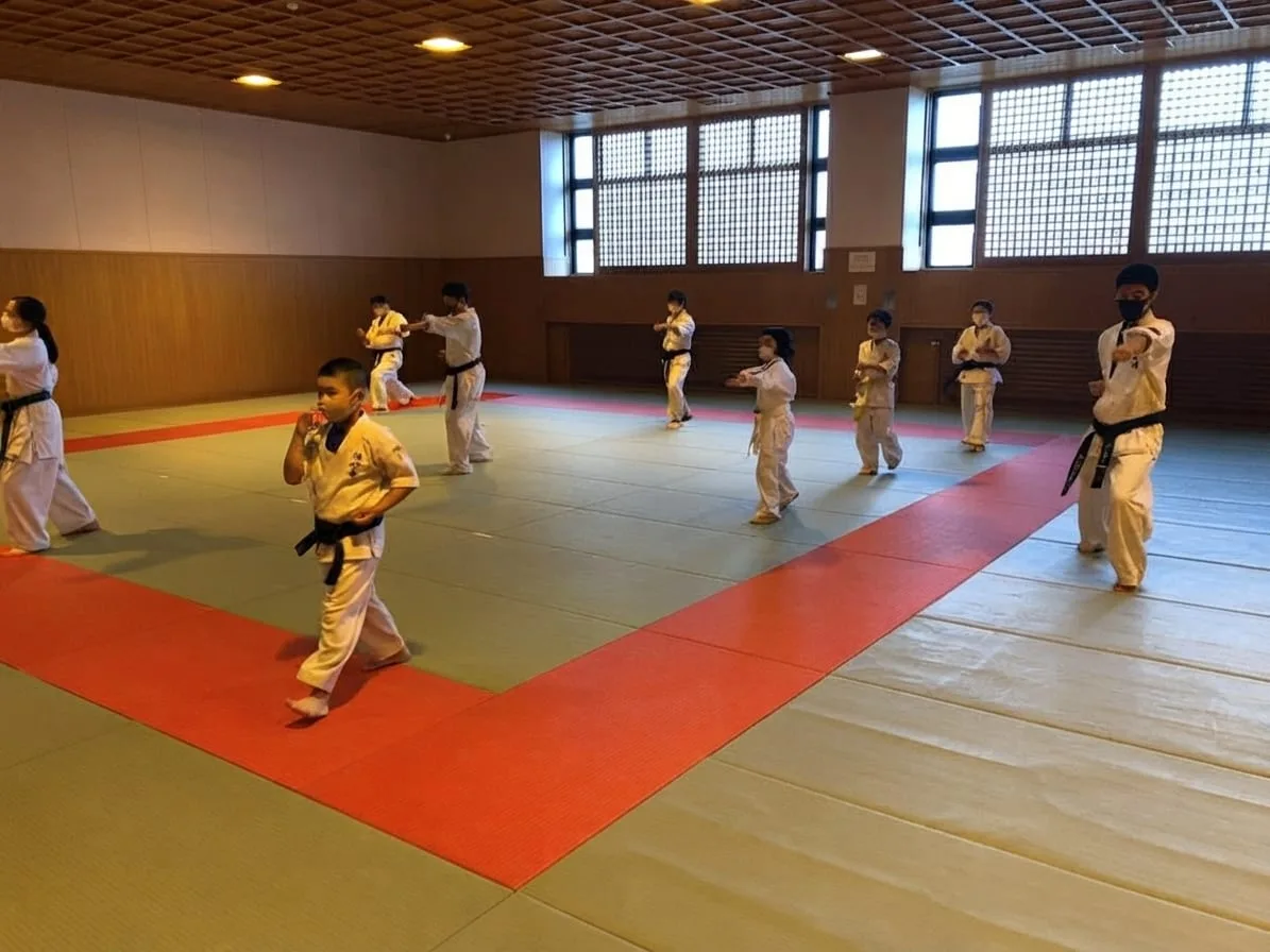 Seishinkai Karate training