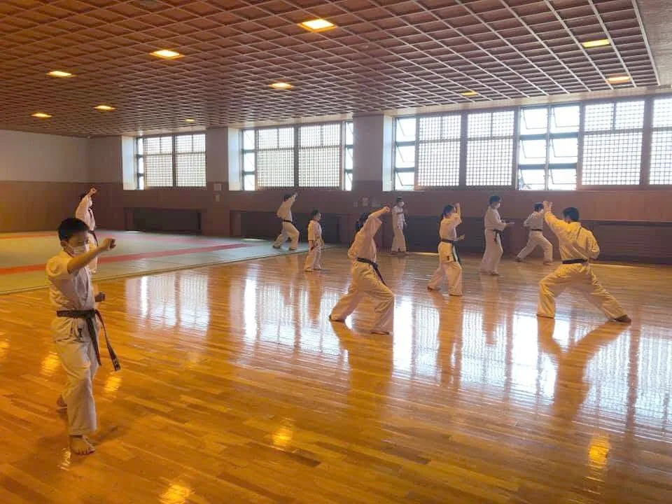 Seishinkai Karate training