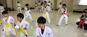 青葉支部の稽古風景
