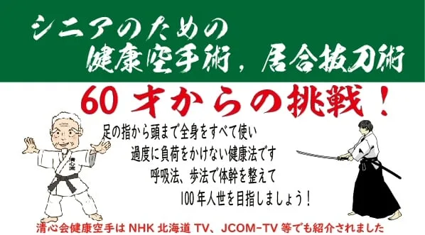 Seishinkai Karate introduction video (YouTube)