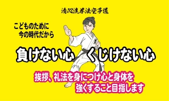 Seishinkai Karate training session